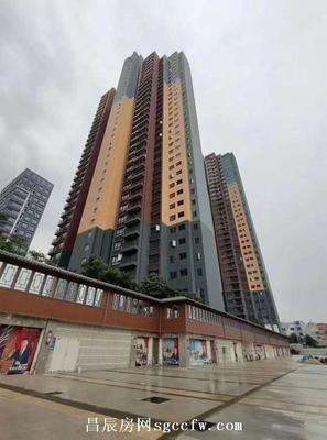 横岗集体红本房《国际新城二期》9栋花园小区通燃气 民用水电大阳台分期长达10年