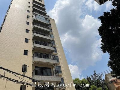 寮步向西村《七星楼》小产权房周边商场公园环绕首付仅3成