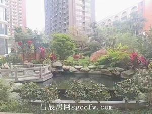 龙华大浪浪花路旁集体大红本房《华府9号》5栋300户精装现楼通燃气地下2层车库