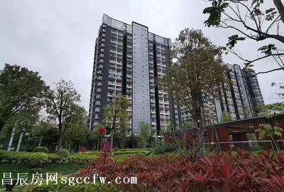石岩塘头集体大红本产权房 花园小区2层地下车库 依山畔水5.8万平米生态墅级大盘