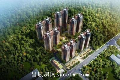 龙岗五联集体大红本房 12栋1120户高档花园小区双阳台 村委盖章可落户绿化率60%