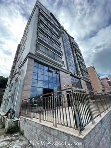 凤岗2栋小产权房《碧湖春天》带精装修原始户型户户带阳台