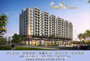 惠阳新圩村委统建楼《龙兴花园》200户AB栋3480元/平起 带停车场龙岗六联15分钟