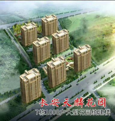 长安宵边7栋大型花园统建楼《天麟花园》，距万达广场400米，90%使用率。