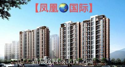 凤岗金凤凰大道旁小产权房《凤凰国际》4栋280户 燃气管道地下车库依山宜居楼盘现房