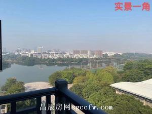 松山湖片区华为南方北区旁集体红本房新开盘 天然氧吧豪装现房通燃气首付3成分期10年
