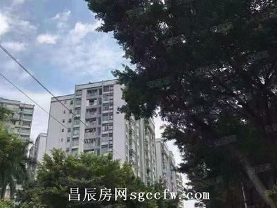 观澜村委小产权房《田心花园》4栋花园小区可落户总价37万/套起4号线竹村地铁站物业