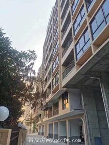 厚街永泰路旁小产权房《九园雅居》2980元/平起 有停车位 步行新园学校8分钟