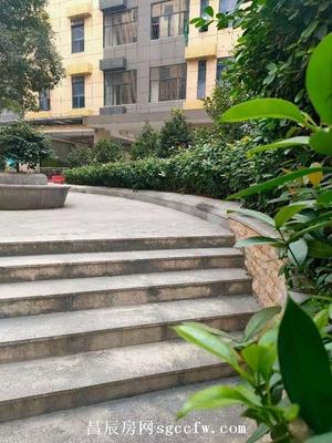 石岩横当岭路旁小产权房新楼盘 3栋花园小区 通燃气带停车场平层复式4.5米高盛大发售