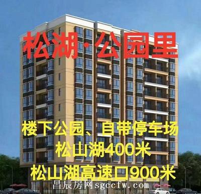 大朗黄草朗美景中路旁小产权房新开盘 R1号线地铁口900米自带停车场3780元/平起现房