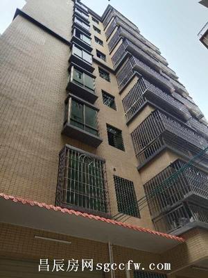 惠阳淡水白云二路旁小产权房新开盘 1梯4户现房4500元均价 坪山坑梓10分钟车程