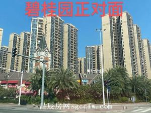 虎门陈村小产权房新开盘 毗邻成才实验学校旁 1房首付5.5万起分期5年现房发售