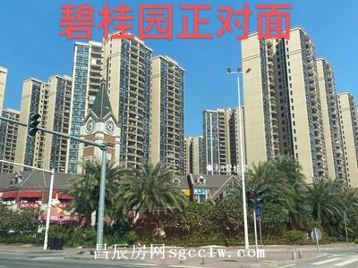 虎门陈村小产权房新开盘 毗邻成才实验学校旁 1房首付5.5万起分期5年现房发售